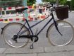 Dawes Mixte